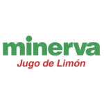 MINERVA
