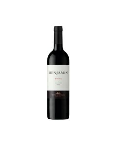 #BENJAMIN NIETO SENETINER MALBEC BOTELLA X 750 MIL