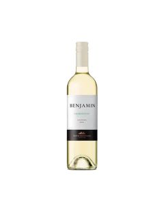 BENJAMIN VINO BLANCO CHARDONNAY 2023 BOTELLA X 750 ML