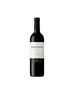 BENJAMIN VINO TINTO SYRAH BOTELLA X 750 ML